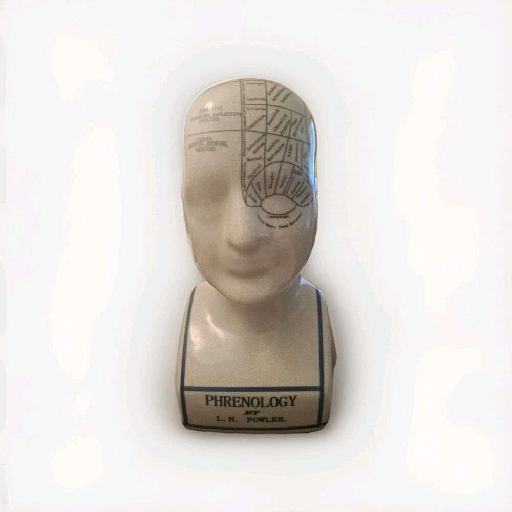 Fowler Phrenology Head Bust L.N. Fowler Anatomical Skull Model Decorative Vintag